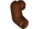 Arm, Right